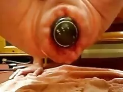 Thiếu gà trống trong ...