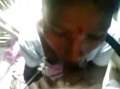 Mong manh, châu Á, R ...