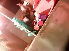 Con lừa, 1 đôi với đ ...
