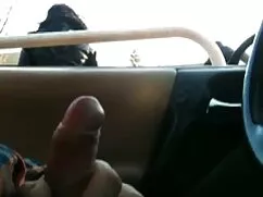 Râu quai nón, đồng t ...